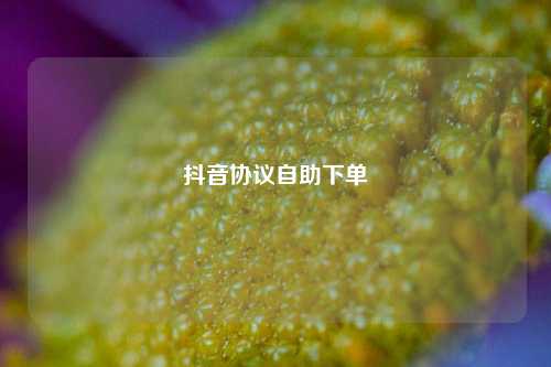 抖音协议自助下单