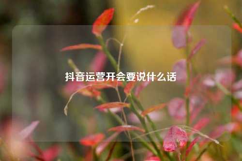 抖音运营开会要说什么话