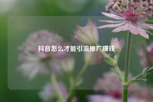 抖音怎么才能引流推广赚钱