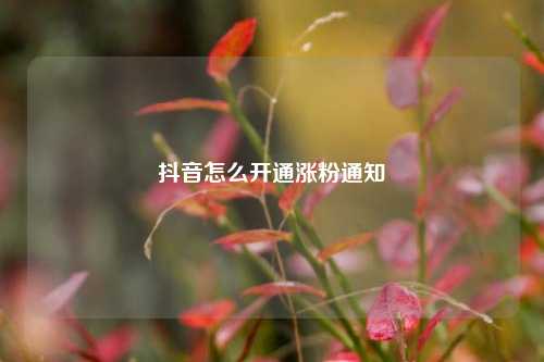 抖音怎么开通涨粉通知