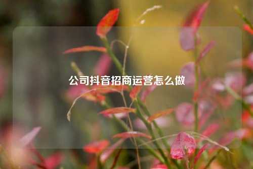 公司抖音招商运营怎么做