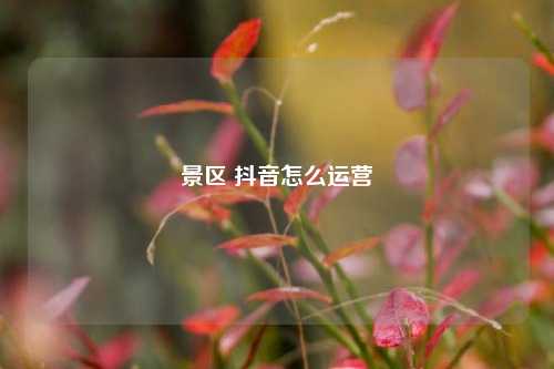 景区 抖音怎么运营