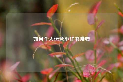 如何个人运营小红书赚钱