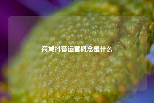 商城抖音运营概念是什么