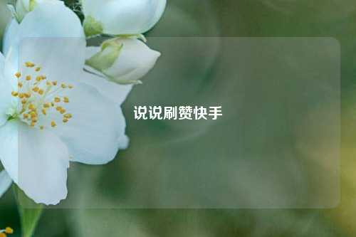 说说刷赞快手
