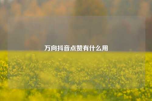 万向抖音点赞有什么用
