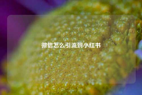 微信怎么引流到小红书