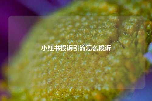 小红书投诉引流怎么投诉