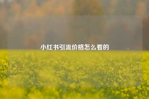 小红书引流价格怎么看的